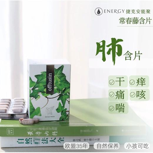 入五脏的咽适片！捷克ENERGY安能聚奥图辛呼吸道含片60粒  润嗓/ 缓解咽喉不适/ 清咳利咽 日期27年8月 商品图0