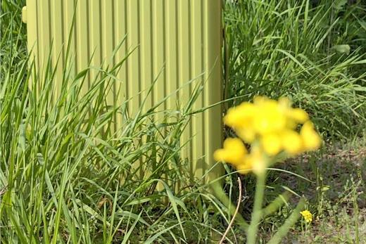 新秀丽代工厂~【布雷德2201新启点拉链款行李箱】纯Pc箱壳拉链箱环保♻️轻便材质。出游更轻松❗️颜值高，配色绝美！ 商品图4