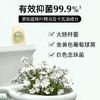 去味+抑菌+留香三合一！无水配方 有效防霉 65天留香 绽家精油香氛除臭蛋厕所香薰去异味持久留香【呼啦优选】 商品缩略图3