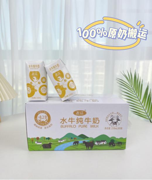 🔥【左江水牛纯牛奶】👏水牛奶专业户：左江品牌成立于2004年，☺️18年来一直专注水牛奶的生产与加工。👍 商品图1