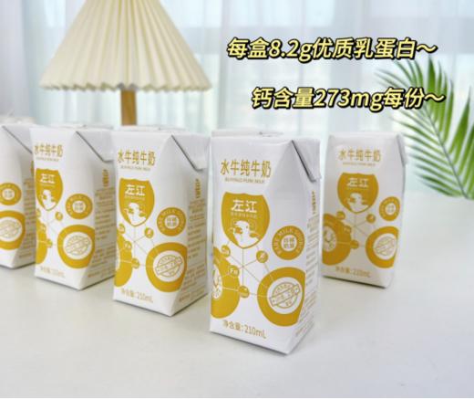 🔥【左江水牛纯牛奶】👏水牛奶专业户：左江品牌成立于2004年，☺️18年来一直专注水牛奶的生产与加工。👍 商品图3