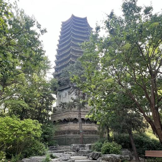 北大研学｜学霸带你探秘燕园，解锁名校成长密码 商品图0