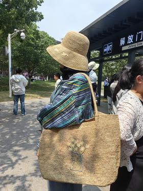 闪照第193期 微风不燥