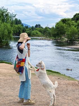 闪照第190期 快乐的一天