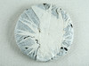 1999年勐海生态青饼（单泡装）【用于展示，勿拍】 商品缩略图1