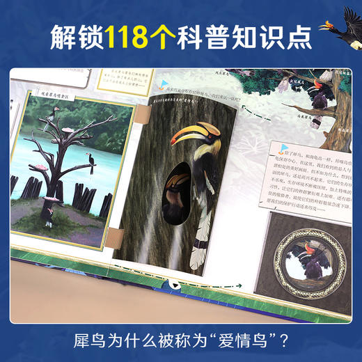 【青葫芦】动物博士科考日志：亚马孙历险记+马来西亚探索记 商品图11