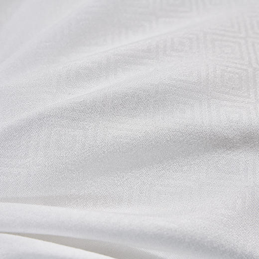 水星家纺芬梦负离子抗菌对枕 商品图2