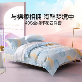水星家纺全棉四件套梦之泡影