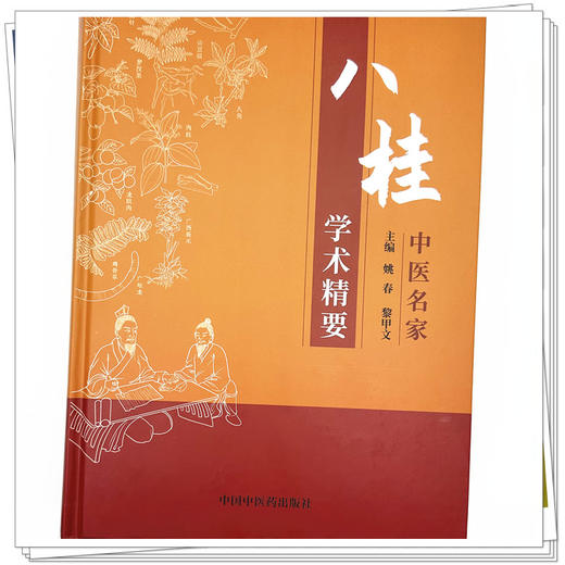 八桂中医名家学术精要 姚春 黎甲文 主编 中国中医药出版社 临证经验医案临床书籍 商品图3