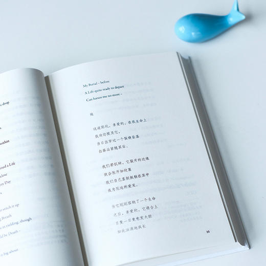 我的艾米莉·狄金森 商品图3