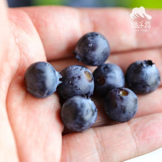 生态蓝莓（广州） | 合作生产*Eco-friendly Blueberries |  Partner Production 商品图3