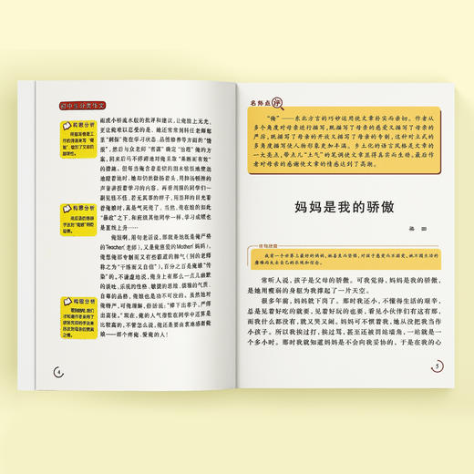 “初中生作文”系列（共4册）：《初中生分类作文》《初中生获奖作文》《初中生范本作文》《中考高分作文》 商品图2