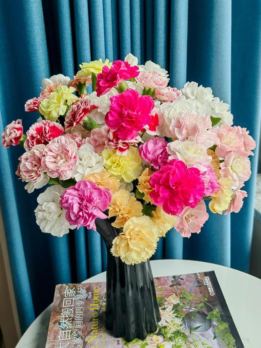 【买花的快乐源泉】AB级高原红玫瑰或随机玫瑰10支+黄天霸单头香水百合5支5朵+赞美诗单头亚百合3支3朵+橙色梦想亚百合6-8朵+送随机多头或随机单头康10支/份 商品图5