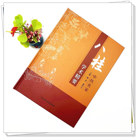 八桂中医名家学术精要 姚春 黎甲文 主编 中国中医药出版社 临证经验医案临床书籍 商品图1