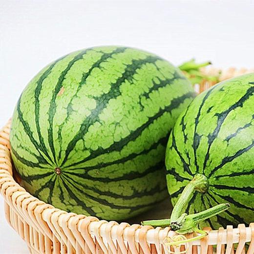 2K小西瓜4-5斤左右（1-2个） 商品图4