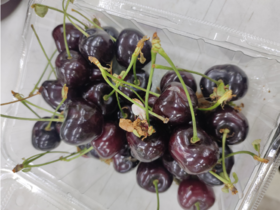 采摘园大樱桃2斤