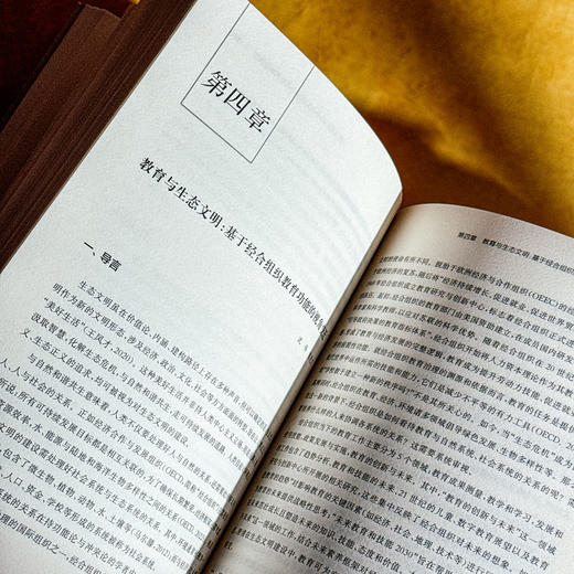 比较教育观察 全球教育的生态转向 彭正梅 沈伟 高等教育分类评价 商品图12