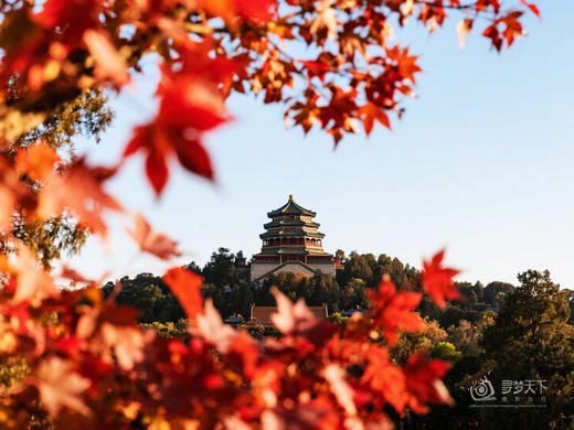 11.5确定出发【秋炫北京】紫禁城6天研学摄影<筑梦中国系列> 商品图3