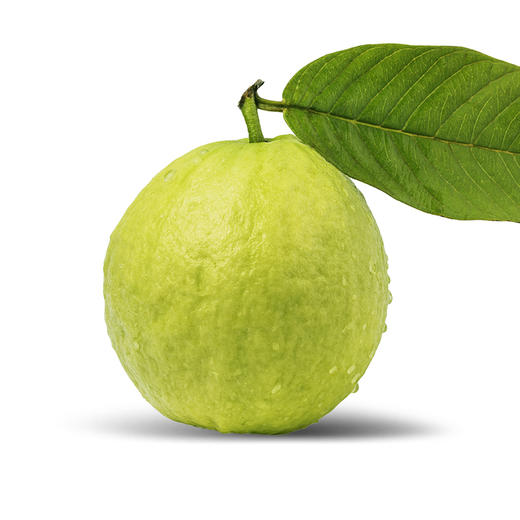 红心芭乐番石榴 8斤原箱 商品图3