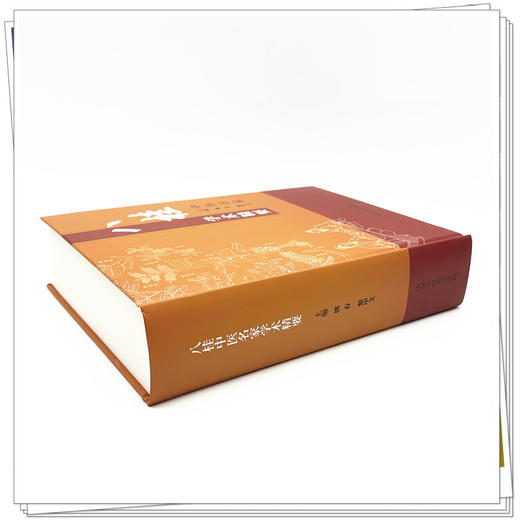 八桂中医名家学术精要 姚春 黎甲文 主编 中国中医药出版社 临证经验医案临床书籍 商品图2