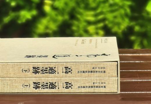 绝版钜惠！！国家美术馆捐赠与收藏系列：《高二适墨迹》，1函2册，8开，布面精装，高二适著，吴为山编，上海雅昌制版、北京雅昌印刷，江苏凤凰美术出版社2016年一版一印，530页，定价2280，售价880 商品图1