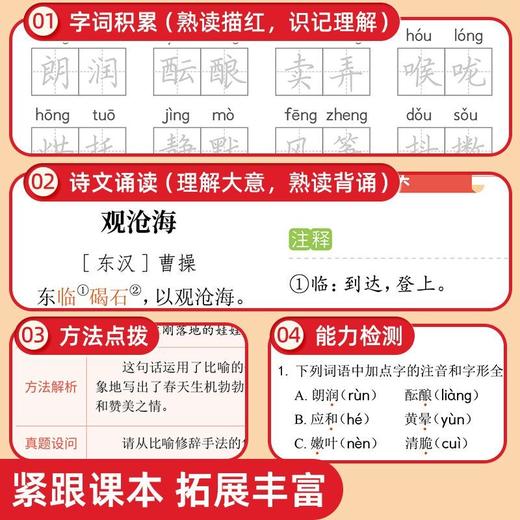 2025暑假5周学习规划预备新初一语数英小升初预习初中知识同步课本人教版 商品图4