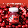 有乐岛/一口蔓越莓生姜饮 约300颗蔓越莓生榨红色莓果力量 商品缩略图3