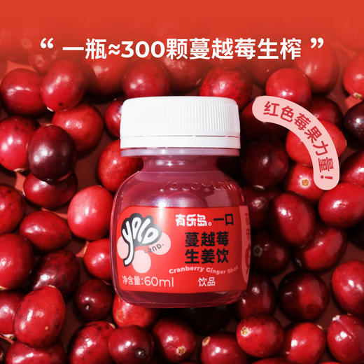 有乐岛/一口蔓越莓生姜饮 约300颗蔓越莓生榨红色莓果力量 商品图3