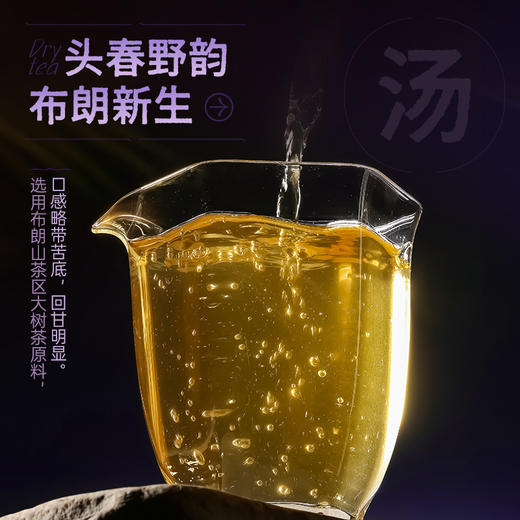 陈升号 2025年布朗山散茶200g（生茶） 商品图3