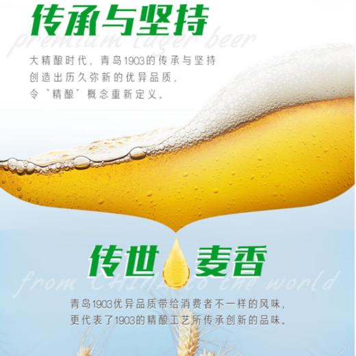 青岛啤酒1903大罐500ml*12罐/箱 商品图2