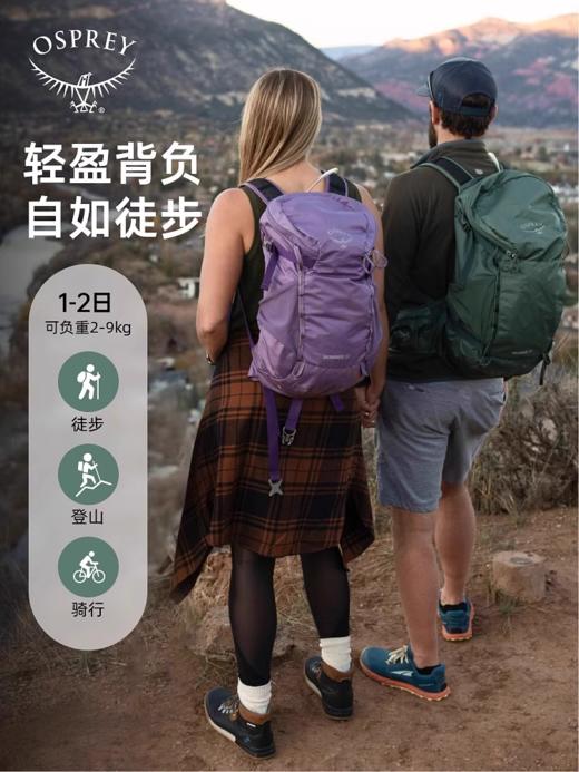 OSPREY小鹰Skarab甲虫22L户外包双肩包徒步旅行背包男士背包 商品图2