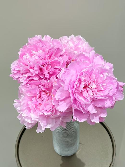 A级晴雯芍药花热卖 商品图1