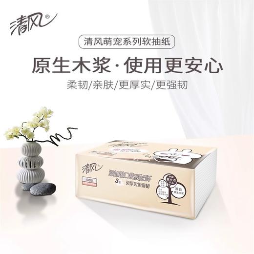清风萌宠系列亲肤抽纸6包/提*4提 24包/箱（3层*100抽/包） 商品图3