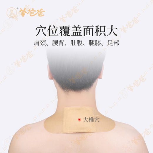 【姜桂艾草温灸贴】敷贴|10贴/盒|  8小时长效热灸暖护 一贴即暖 商品图4