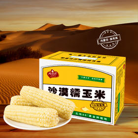 【风水梁沙漠甜糯玉米】产自库布齐沙漠东端，一株精选一穗，软糯香甜，皮薄化渣