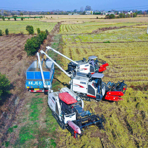 基地直发 | 有机珍珠白米 | 良食本事 商品图2