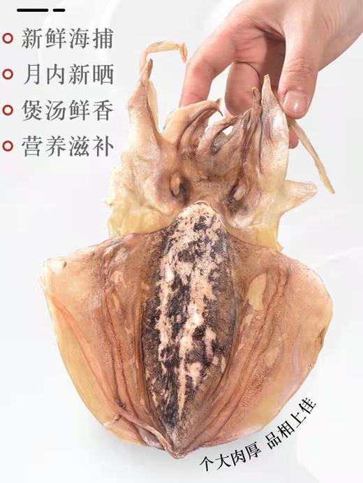 广东潮州杨栈记25头墨鱼250g/袋 商品图2