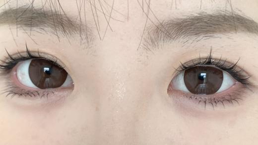 DeerBell日抛美瞳 大巧豆 14.5mm 商品图0