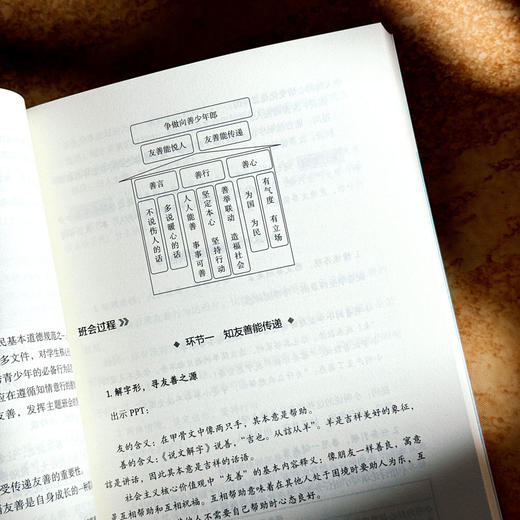 如何上好探究式主题班会课 大夏书系 曾容容 活德育新课堂 商品图9