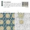《中国传统纹样图典》 商品缩略图12
