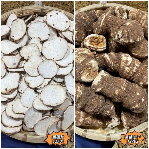 重楼 个子  重楼片 滇重楼 大个头七叶一枝花 蚤休  缅甸小重楼 商品图0