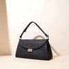 【预售3天】2025新款高级感小众手提腋下斜挎小巧精致女包X9260A 商品缩略图1