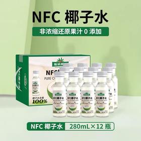 版纳雨林椰子水280ml*12