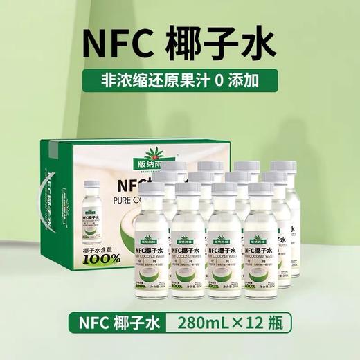 版纳雨林椰子水280ml*12 商品图0