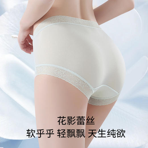 【69.9元8条】草本初色山茶花香氛内裤85027款 商品图9