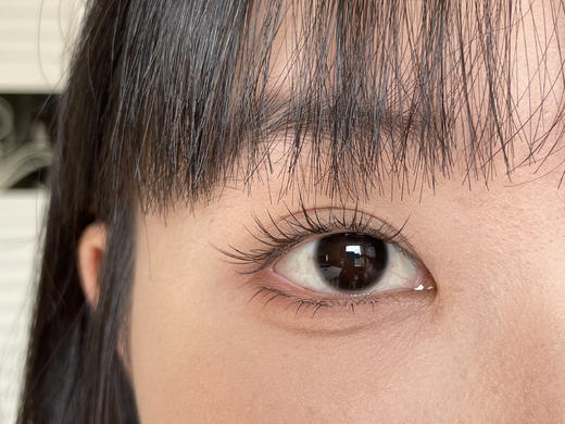 DeerBell日抛美瞳 幼乖黑 14.0mm 商品图0