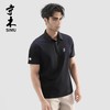 【爆汗不臭 久穿不皱 冷空气焊身上】UPF100+寺木轻奢防晒无痕7A抑菌POLO衫 商品缩略图2