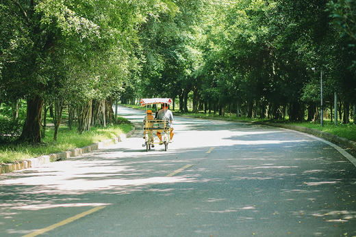 福建鲤鱼洲酒店 × 2天1晚 · 豪华房/高级园景房套餐 商品图3