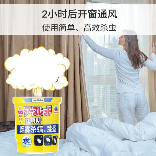 安速红阿斯杀螨虫跳蚤10g装 商品图0