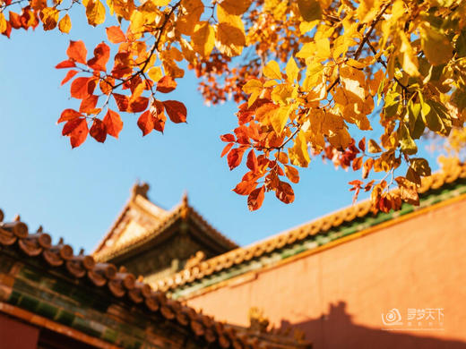 11.5确定出发【秋炫北京】紫禁城6天研学摄影<筑梦中国系列> 商品图6